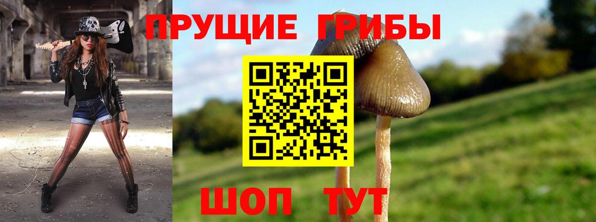 Псилоцибиновые грибы MAGIC MUSHROOMS Назарово